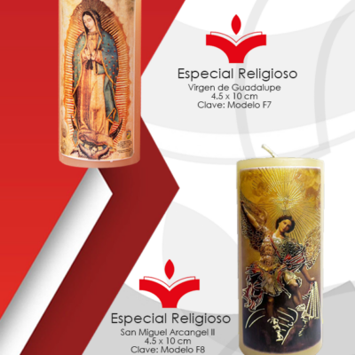 Virgen de Guadalupe 4.5x10