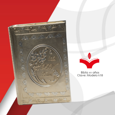 Biblia XV Años